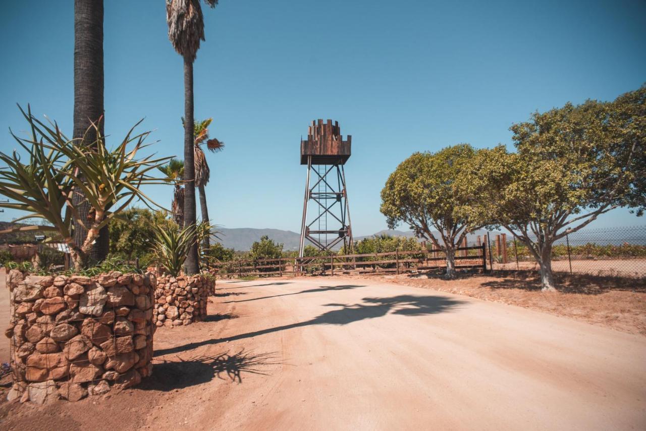 Hotel Castillo Ferrer Valle de Guadalupe Exterior photo